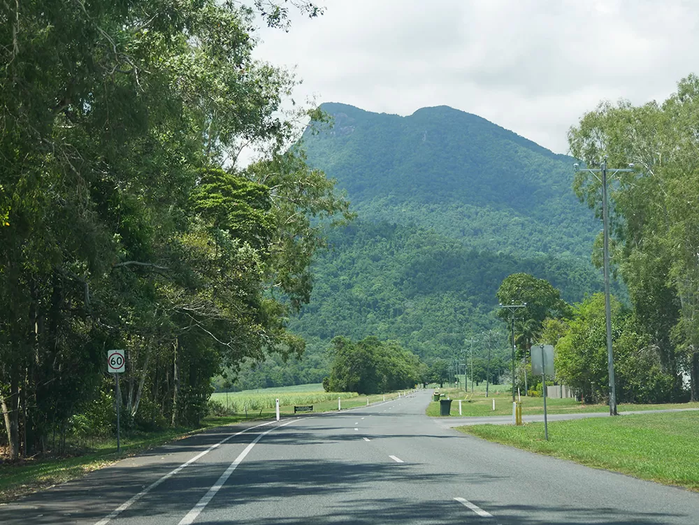 On the way to Mossman Gorge